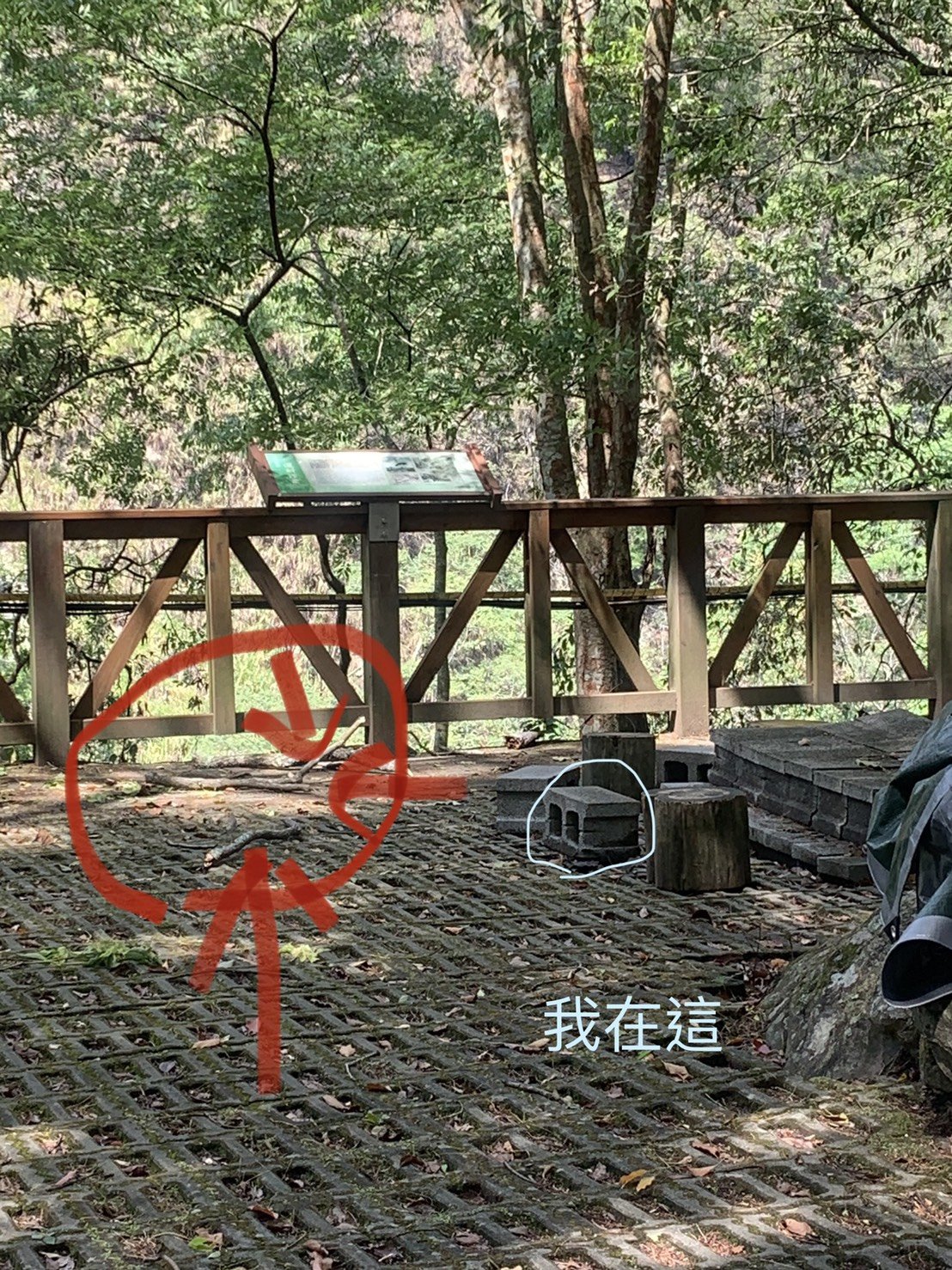 2021 – 04 – 30 育玲姊妹經歷神的保守拯救