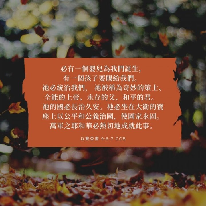 聖誕並非聖誕節